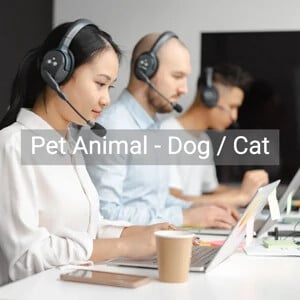 Pet Animal - Dog / Cat
