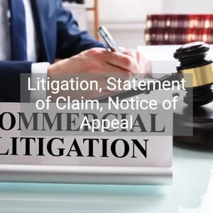 Litigation, Statement of Claim, Notice of Appeal
