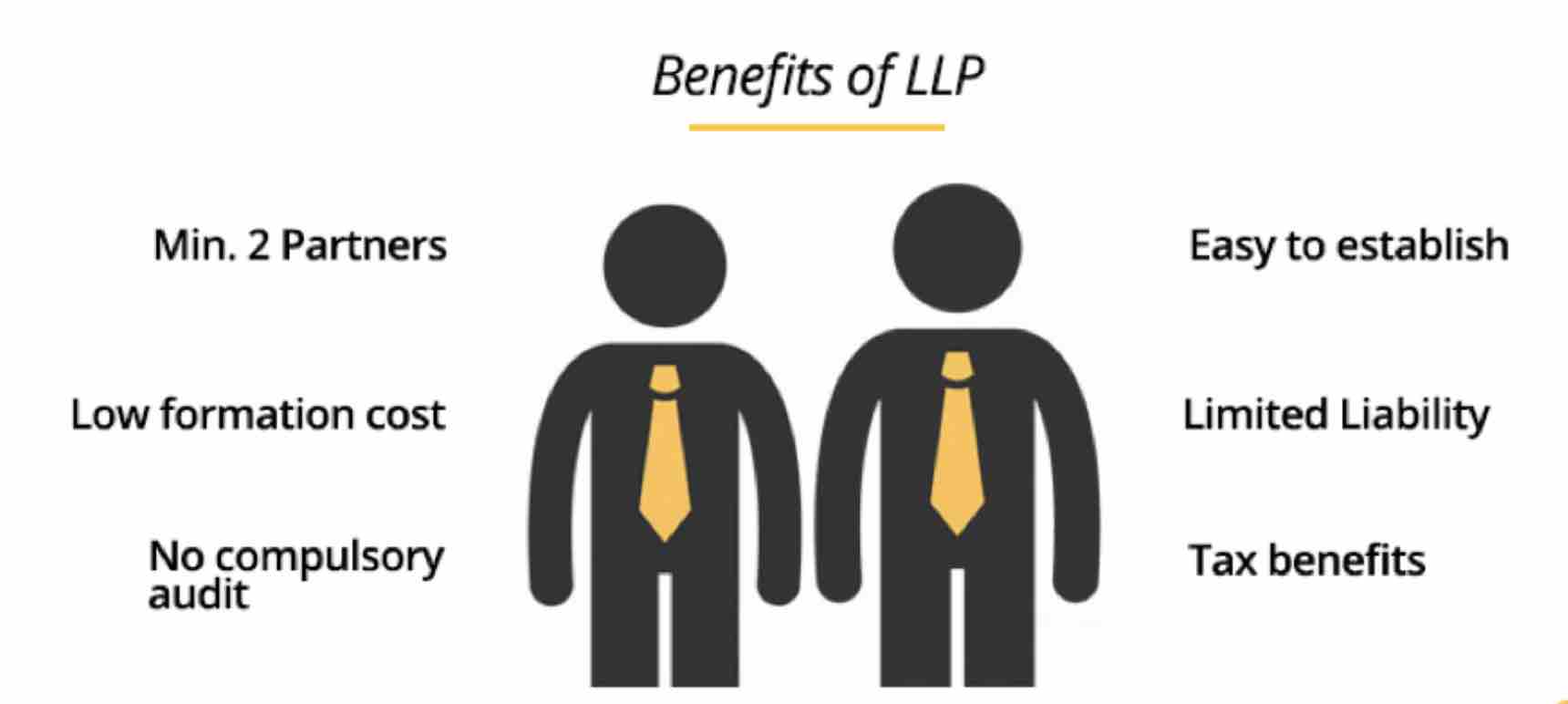 Limited Partnership: What It Is, Pros and Cons, How to Form One