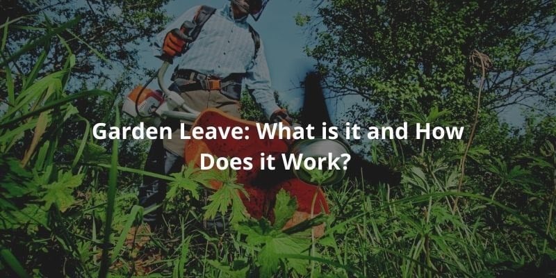 Garden Leave: What is it and How Does it Work?
